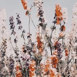 Meet your Posher, Adrianna